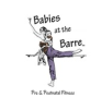 Babies at the Barre Coupon & Promo Codes
